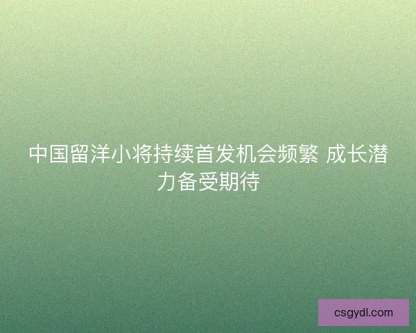 中国留洋小将持续首发机会频繁 成长潜力备受期待